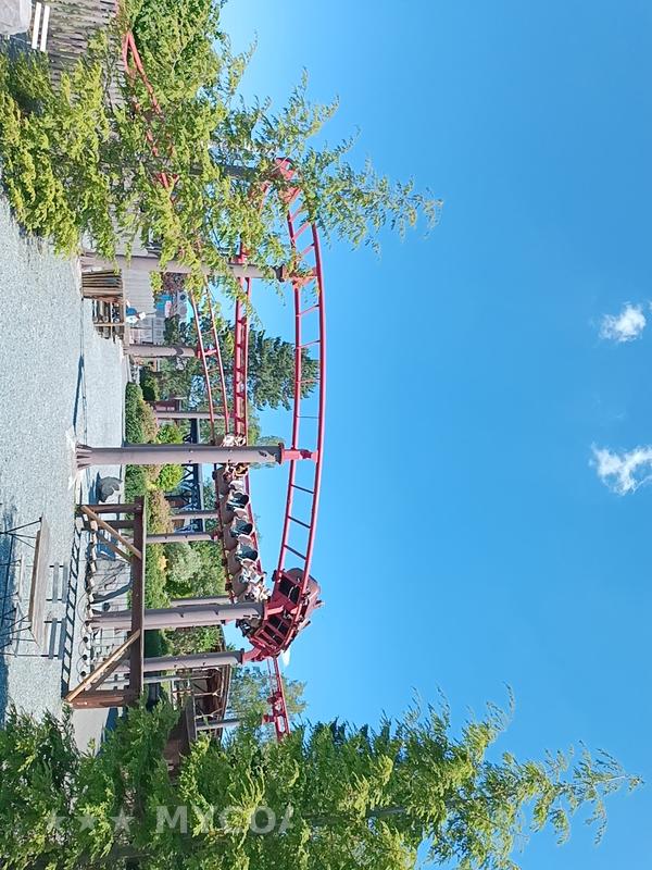 Coaster