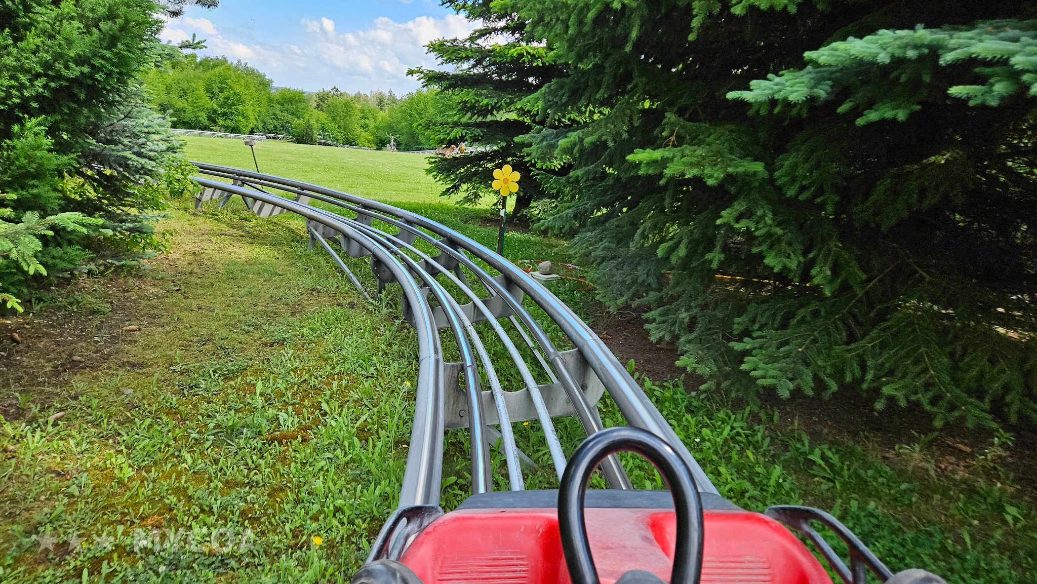 Allwetterrodelbahn Weißenfels