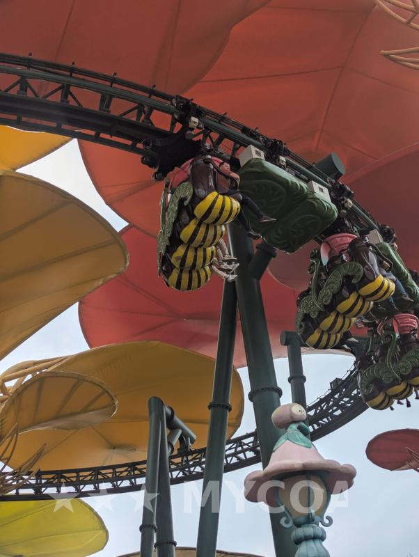 Coaster