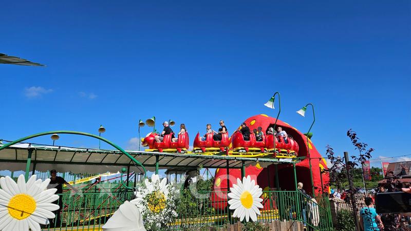 Coaster