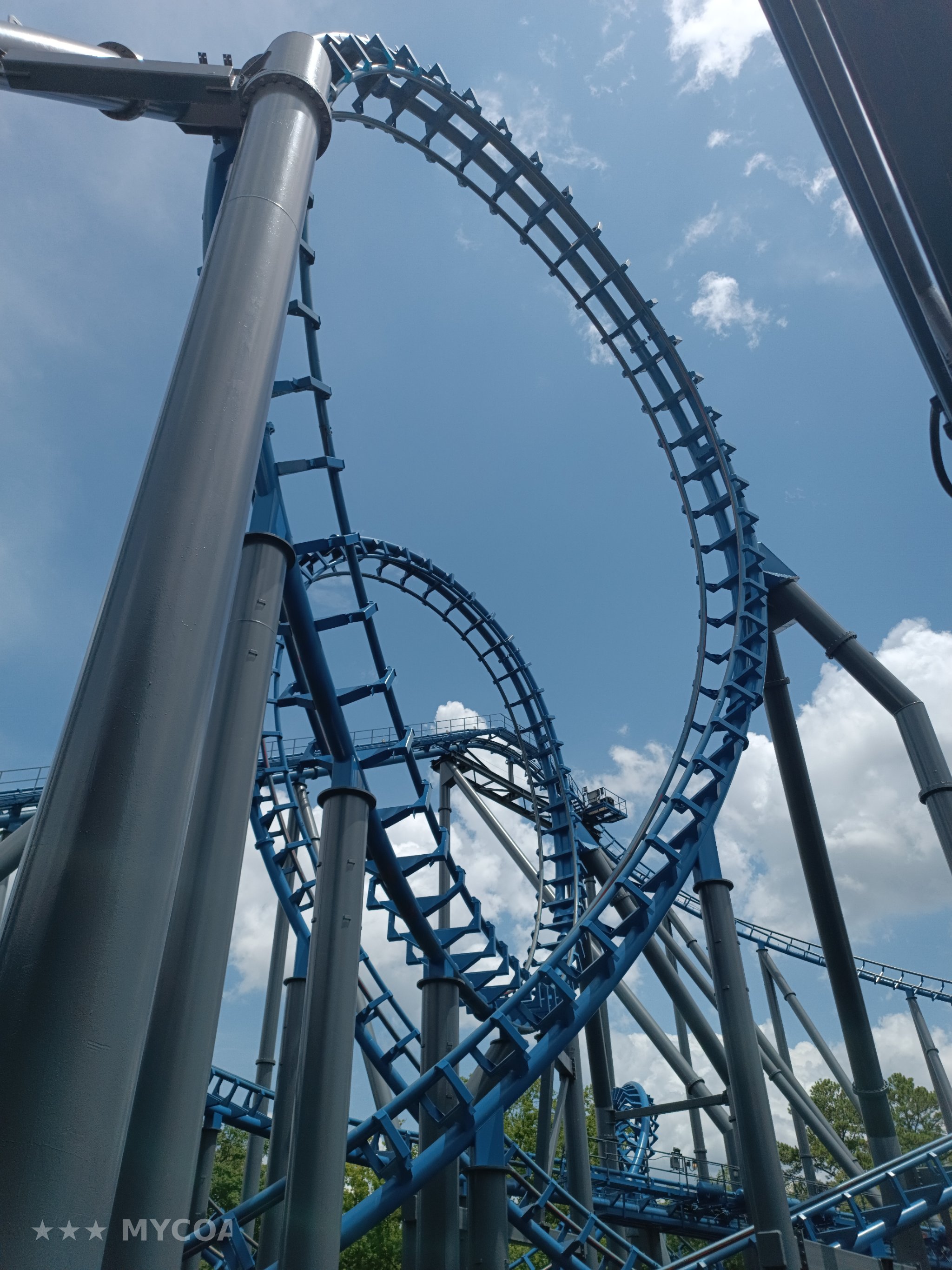 Blue Hawk