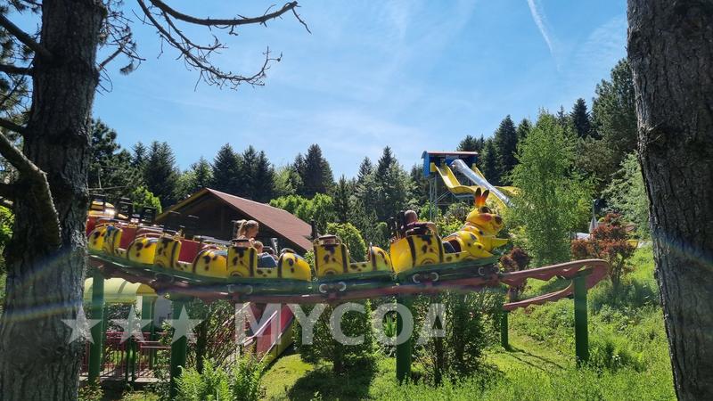 Coaster