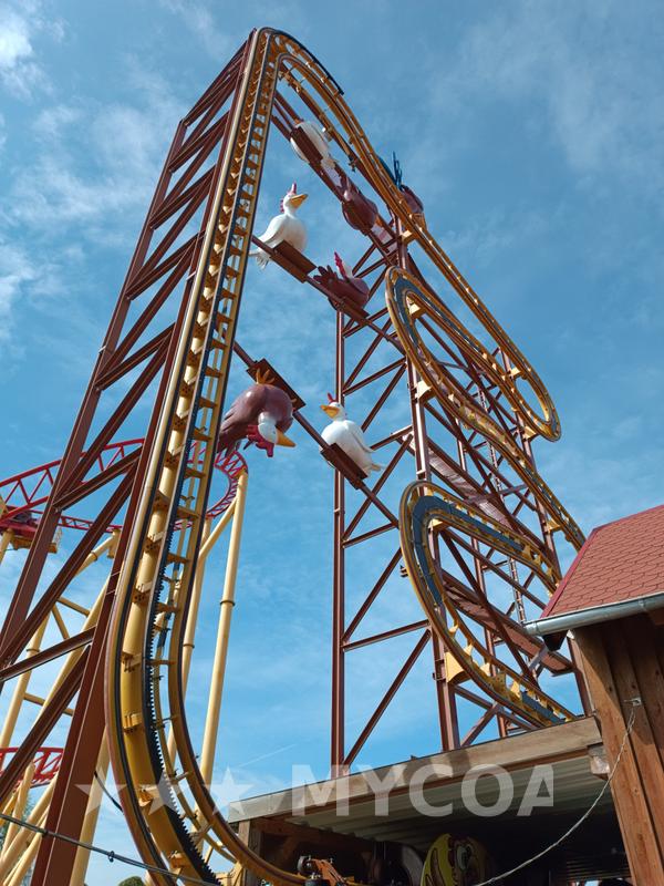 Coaster