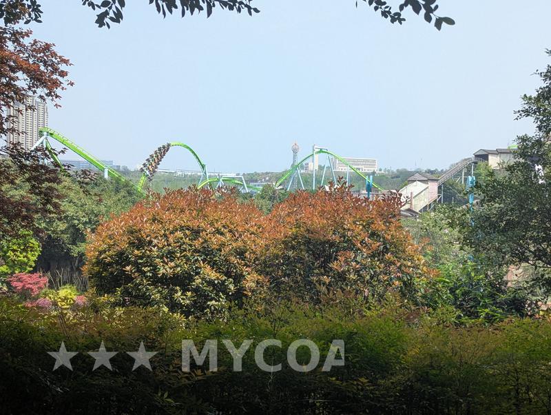 Coaster