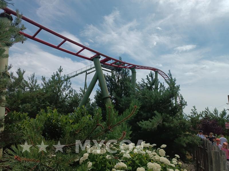 Coaster
