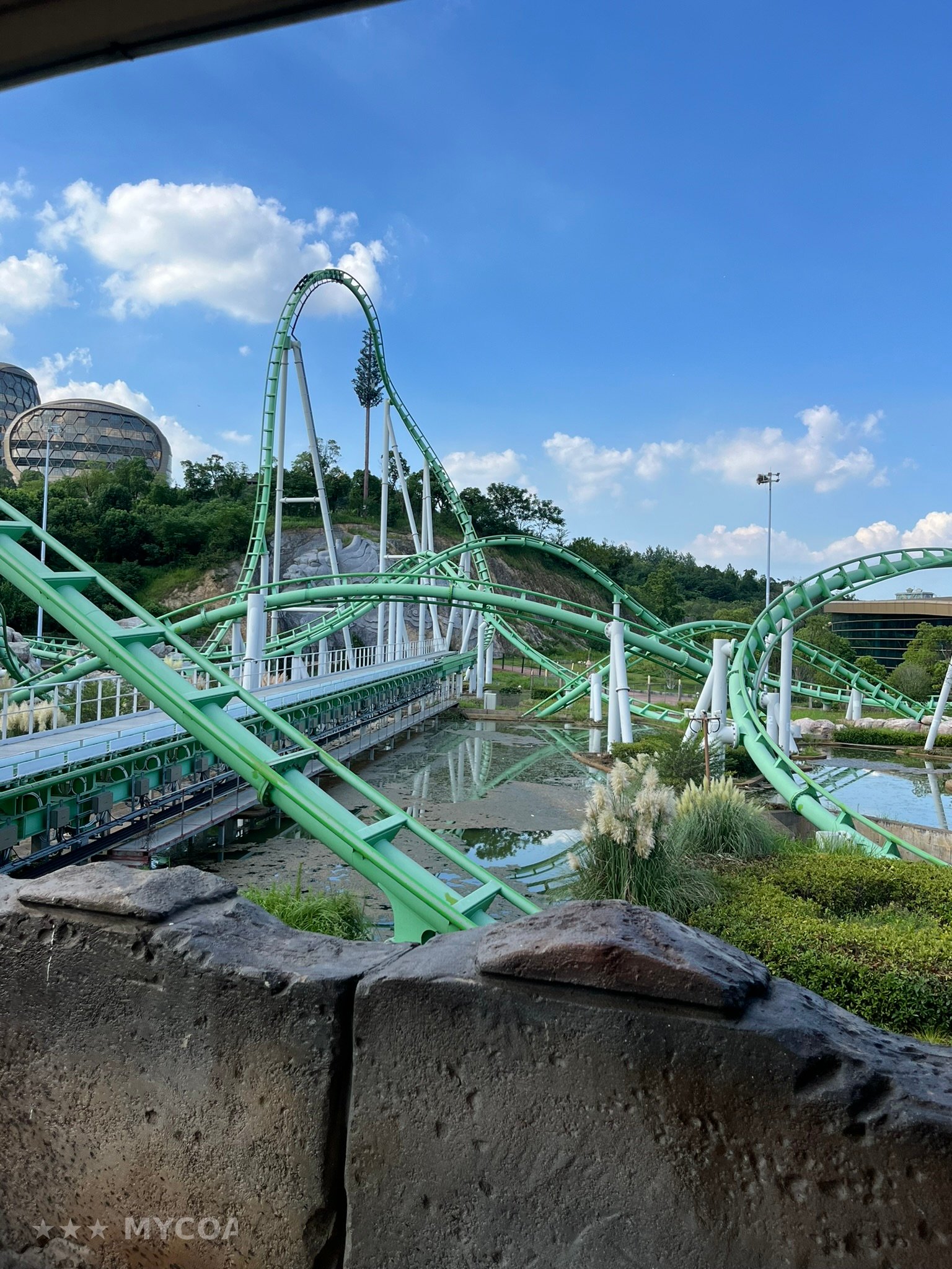 Photo de Jungle Dragon - 密林游龙