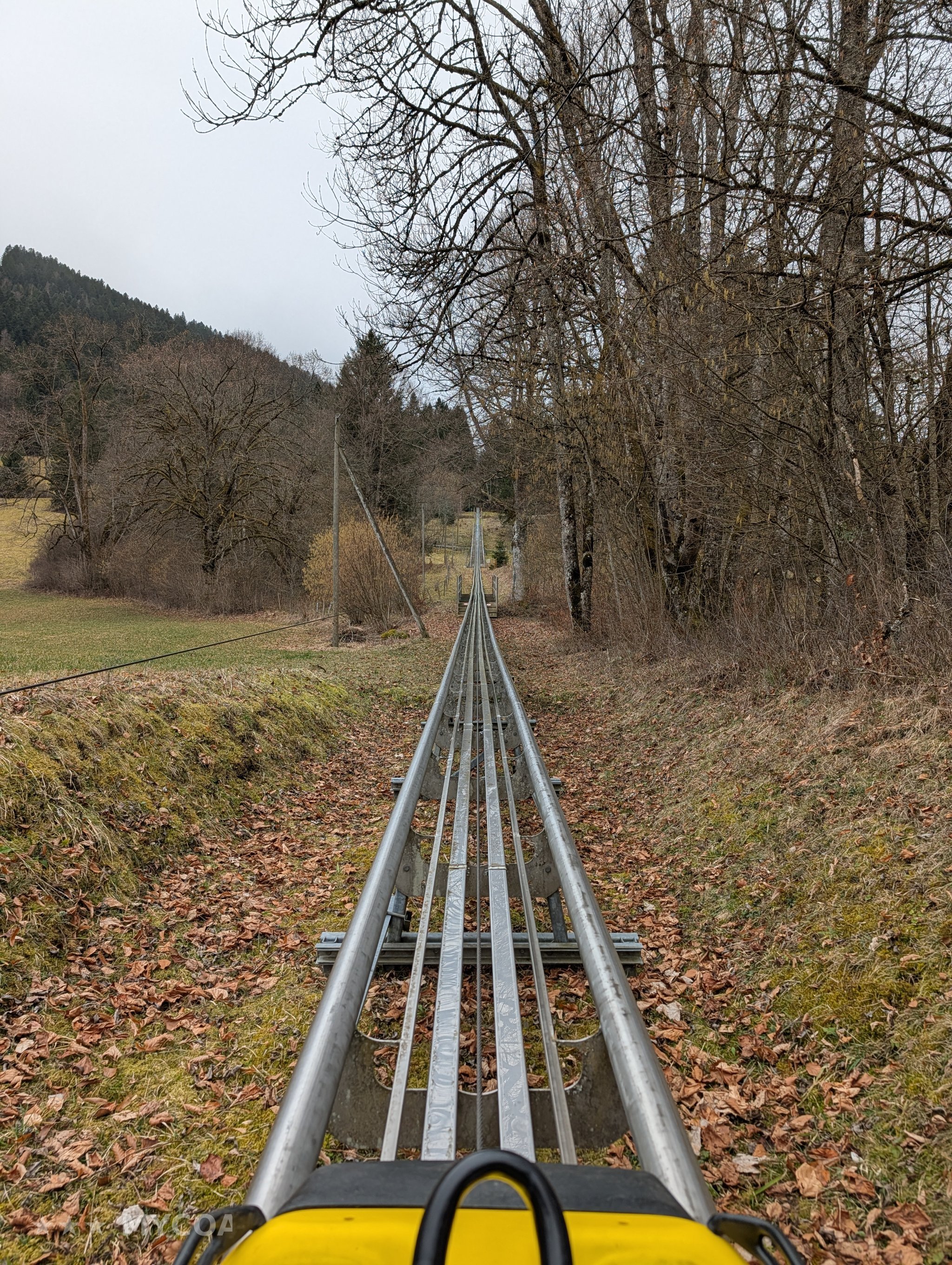 Photo de Luge Féeline