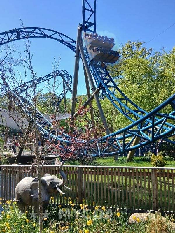 Coaster
