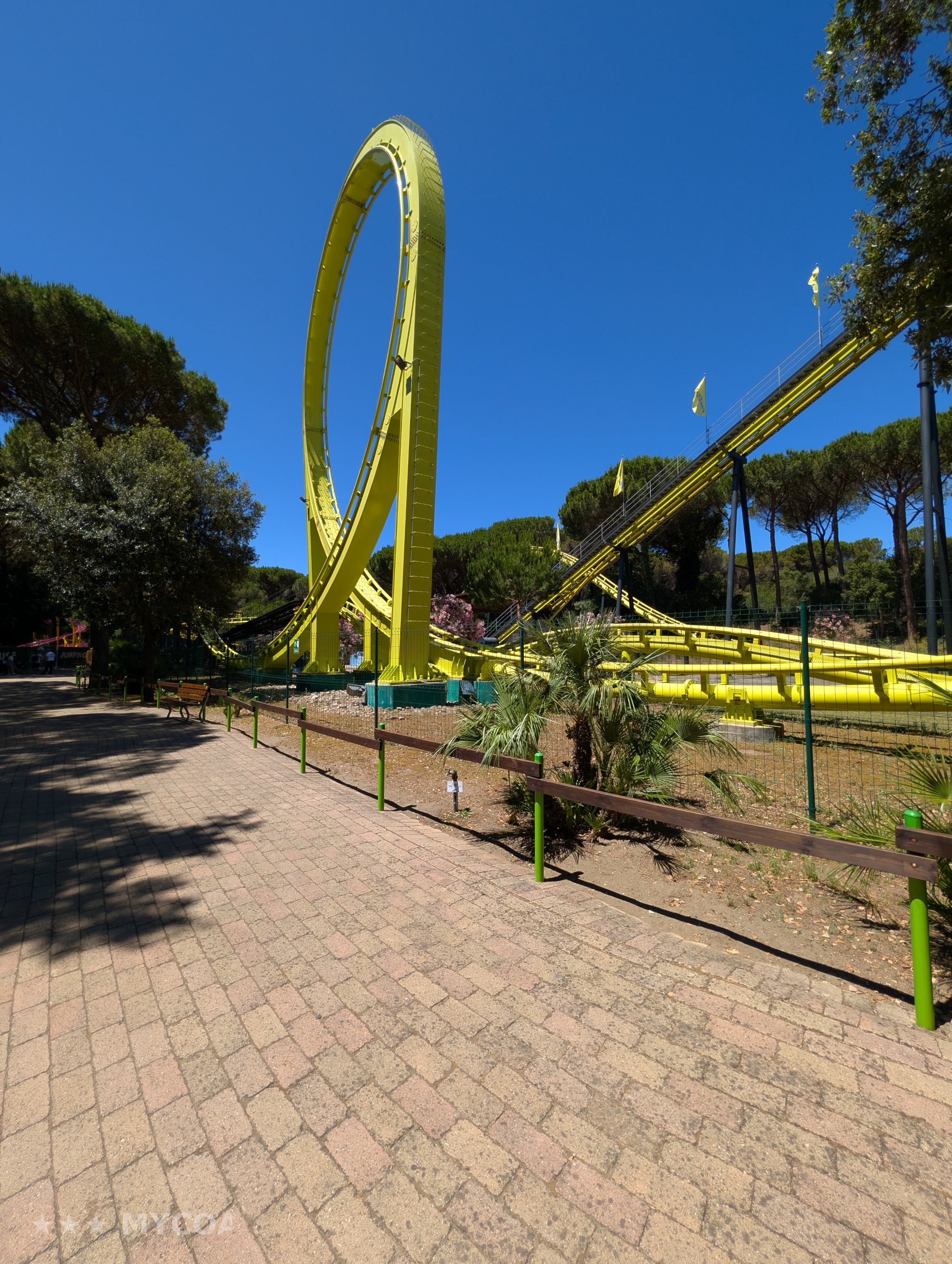 Cavallino Matto