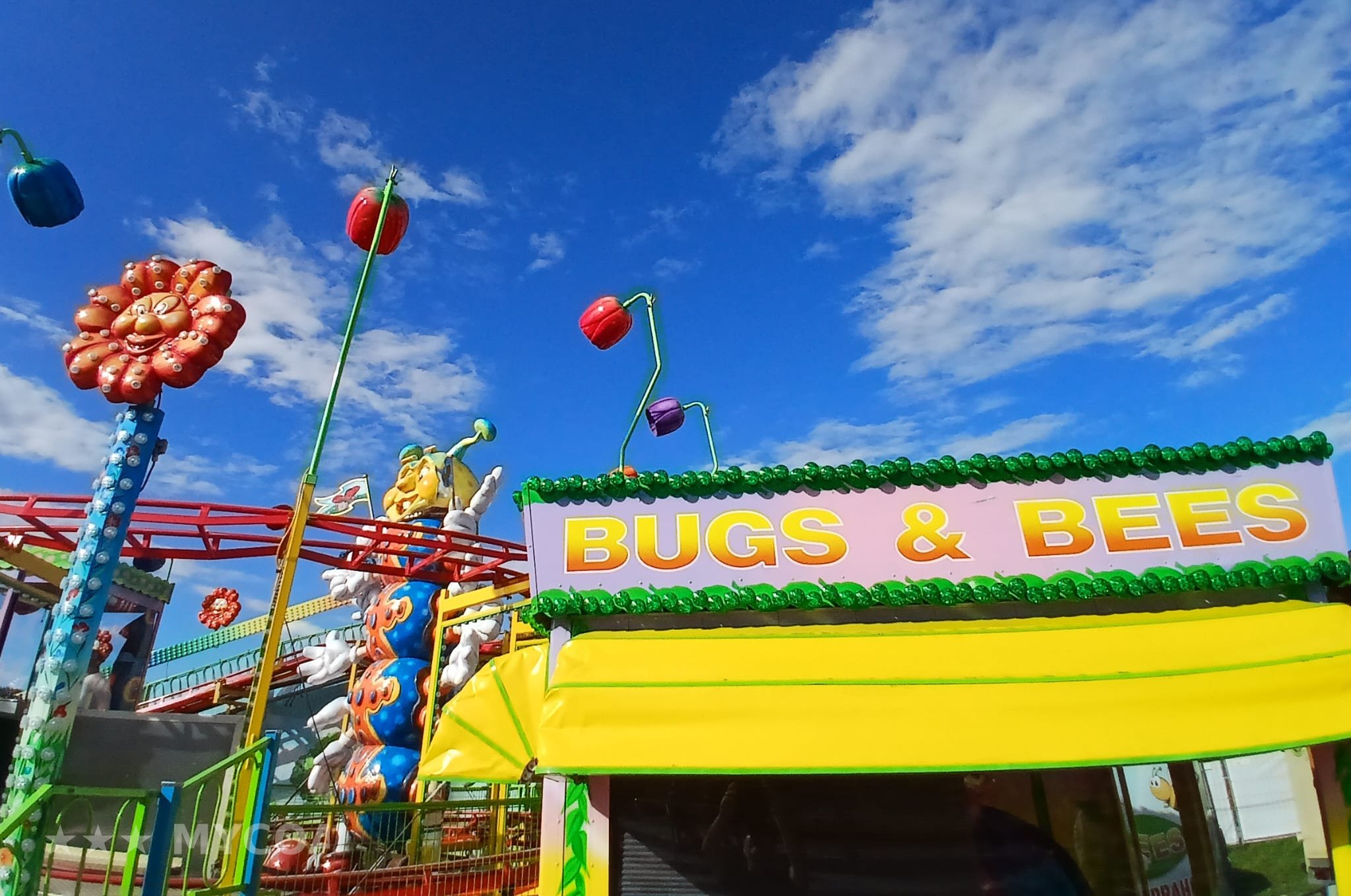 Photo de Bugs & Bees (Forain)