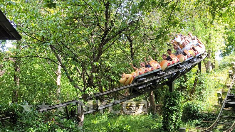 Coaster