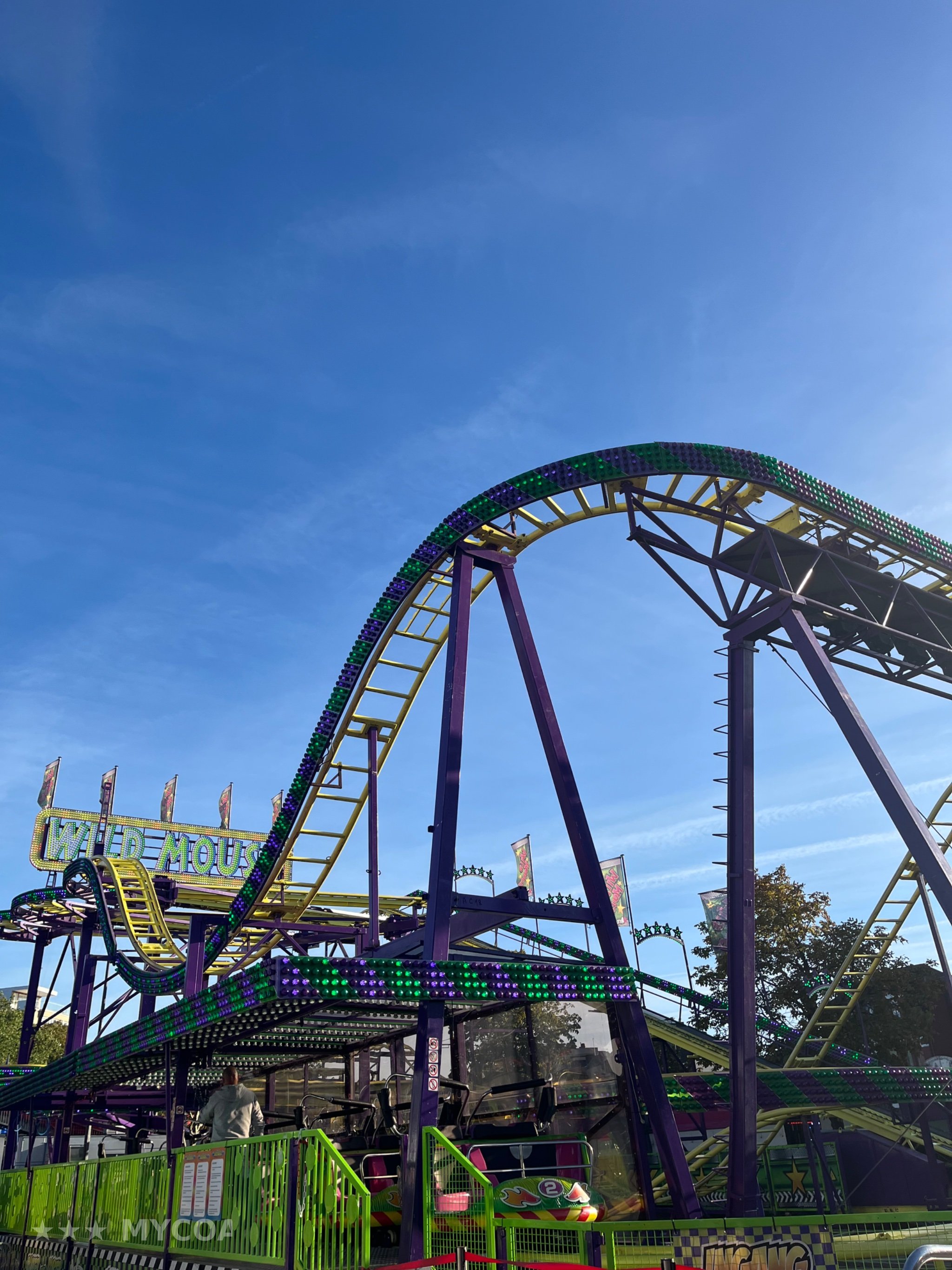 Photo de Wild Mouse
