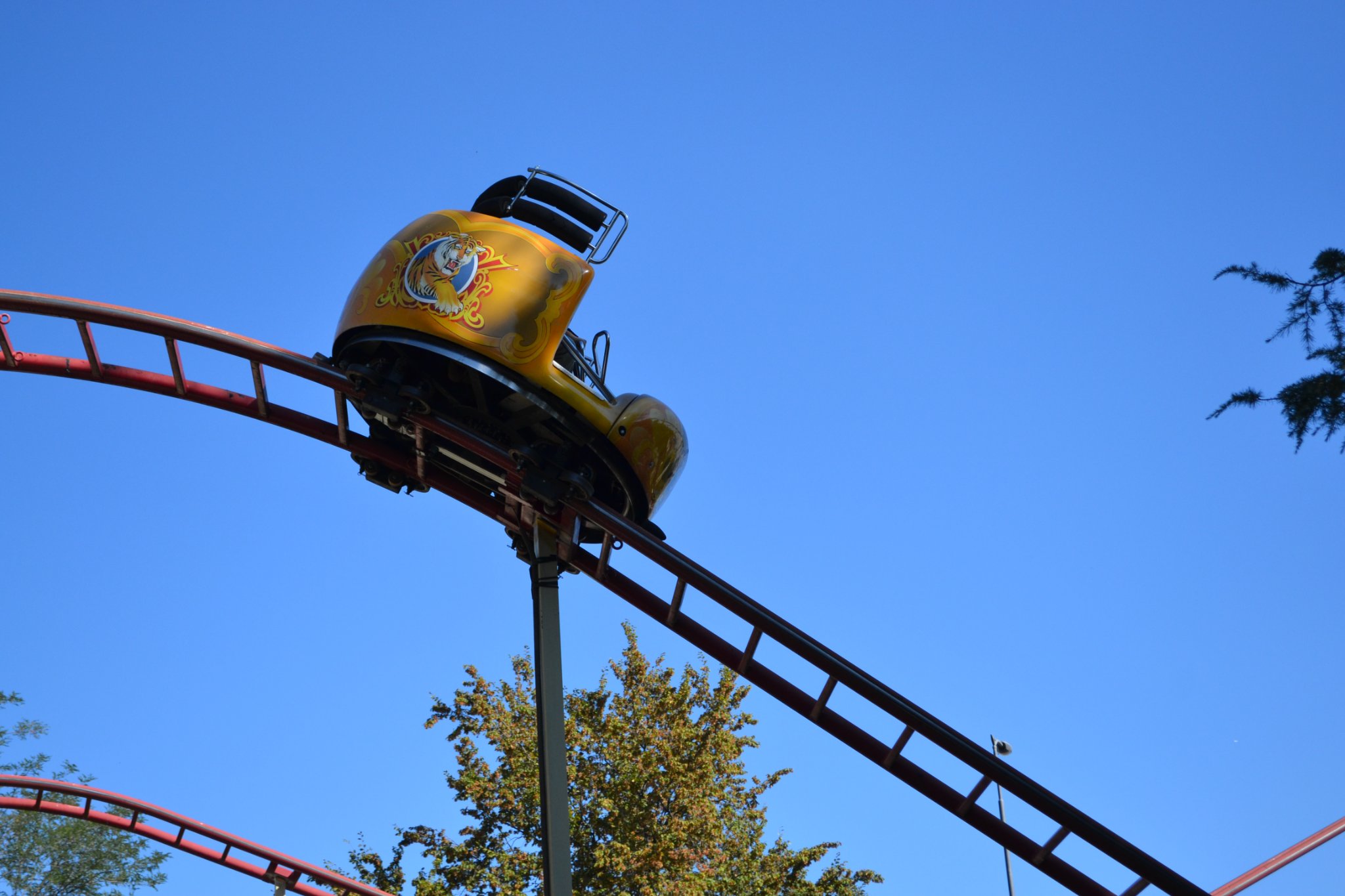 Coaster