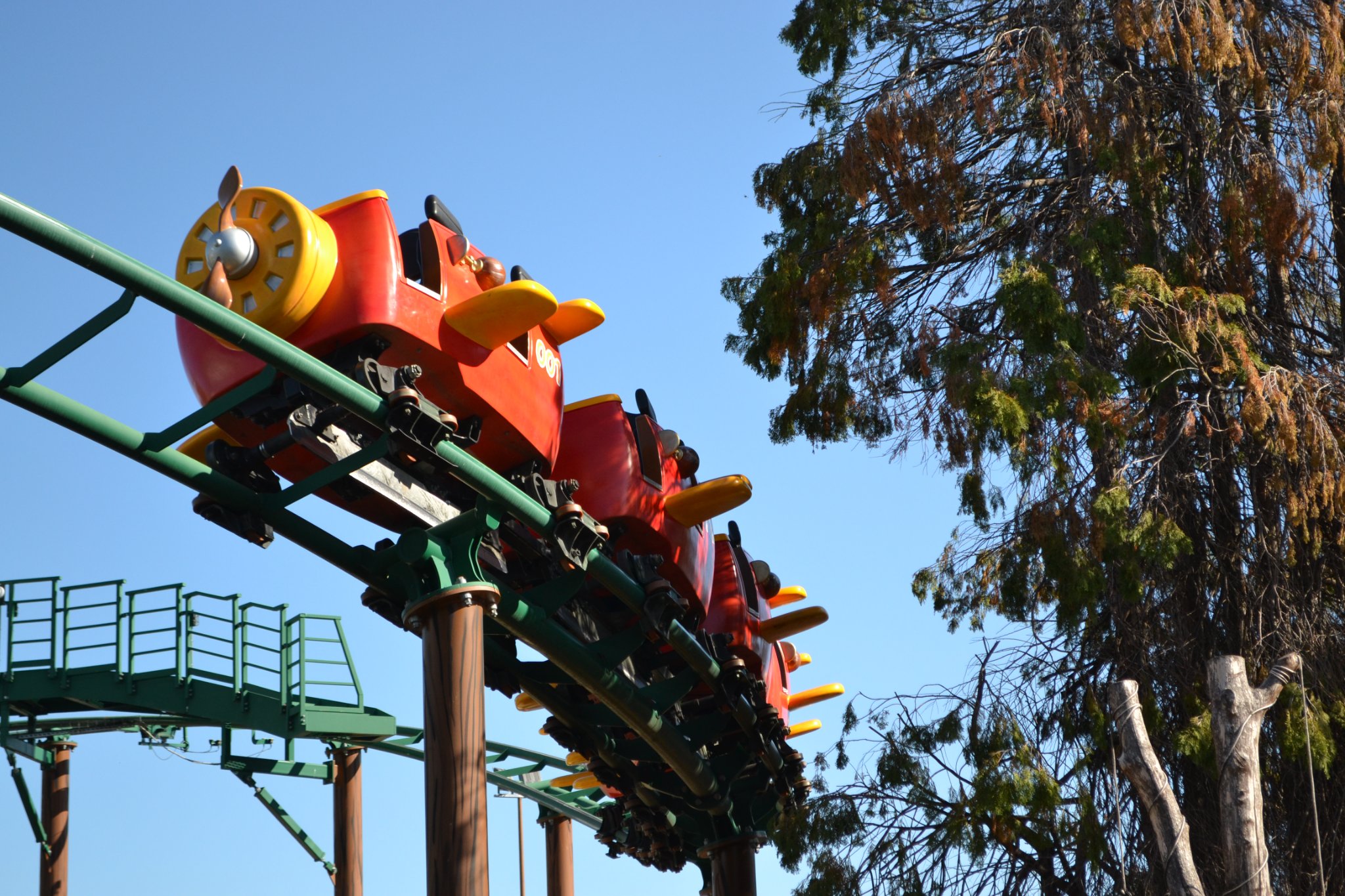 Coaster