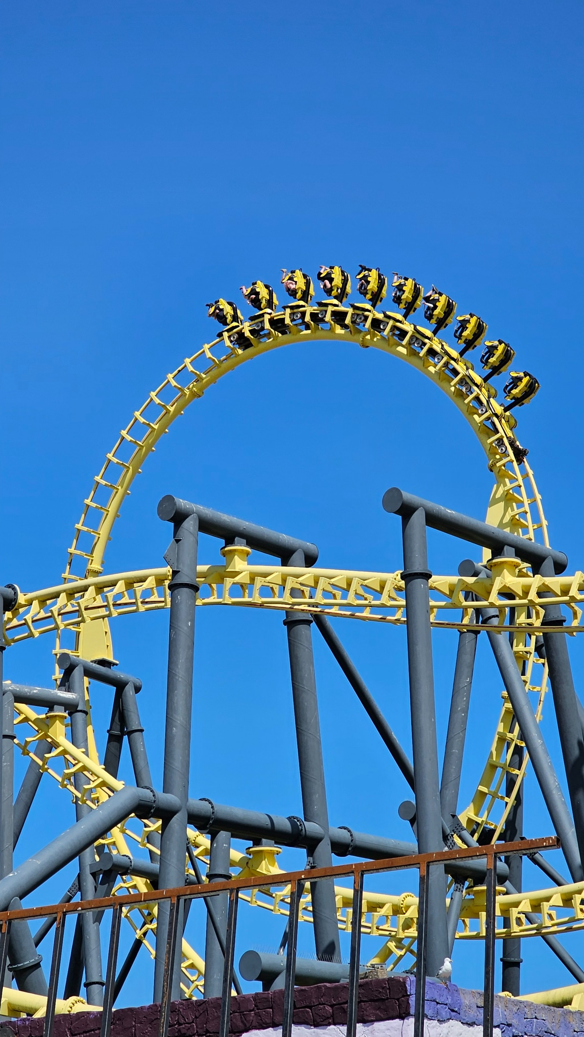 Coaster